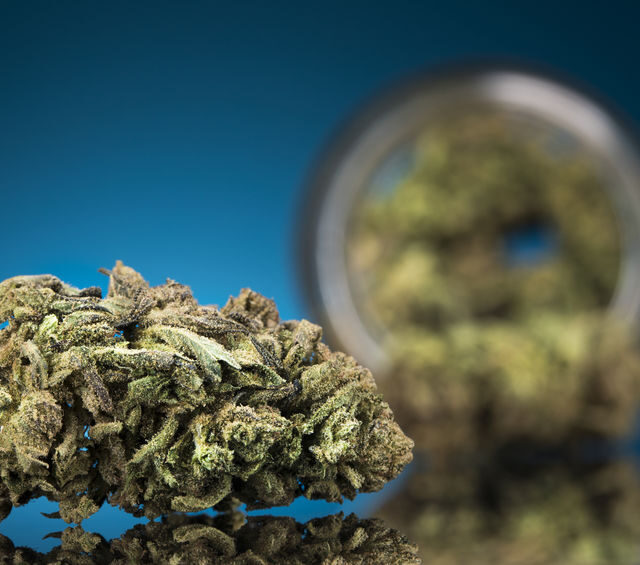 Fleurs de CBD : bienfaits et méthodes de consommation