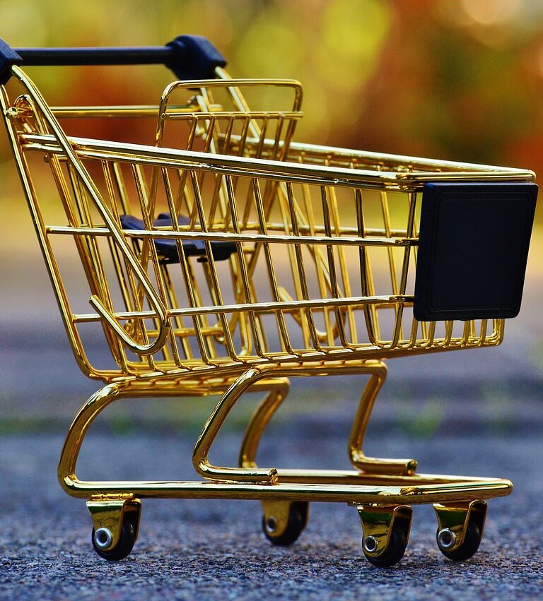 Comment bien choisir votre chariot de courses pour personnes âgées ?